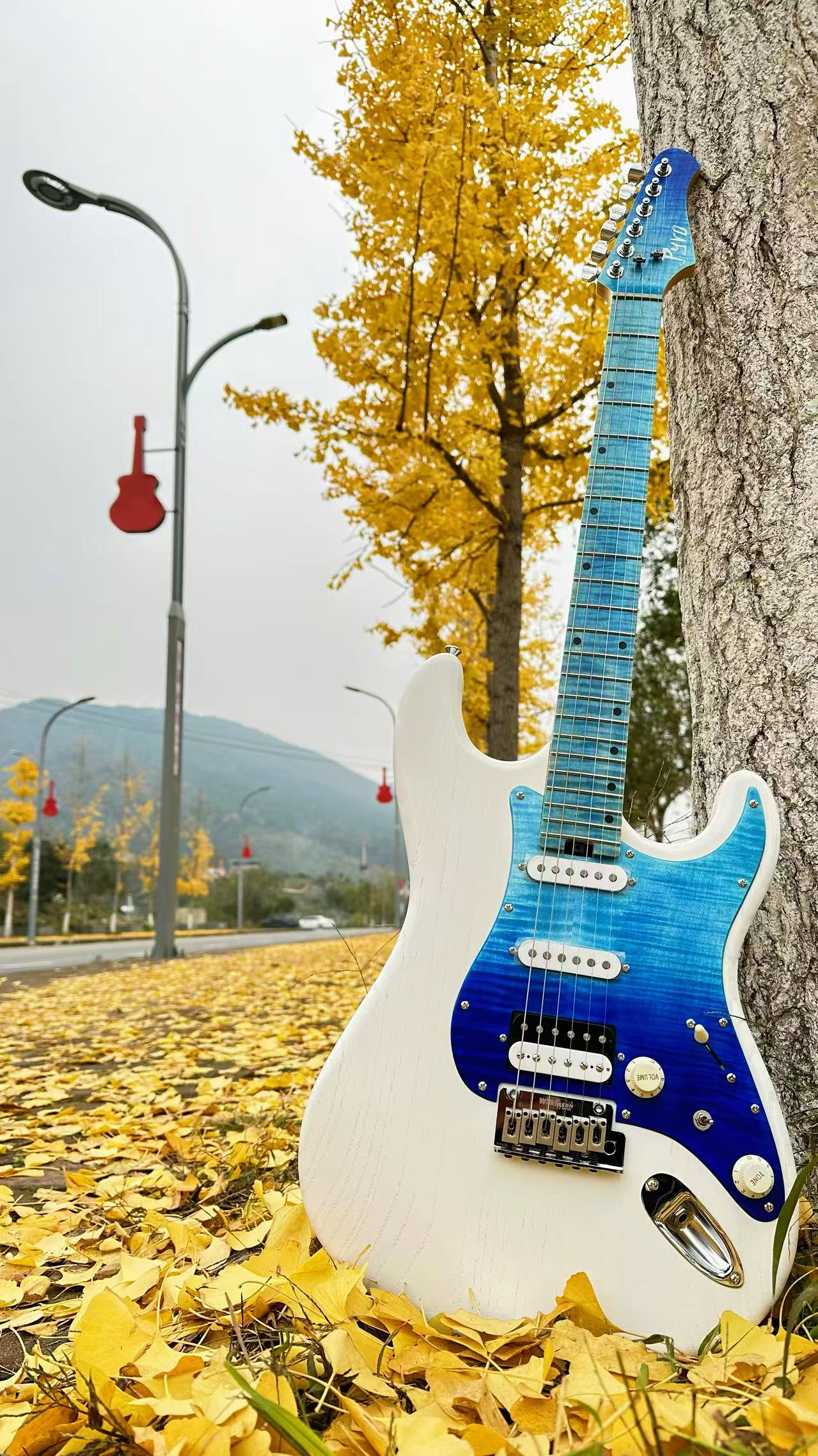 微信图片_20250117212641