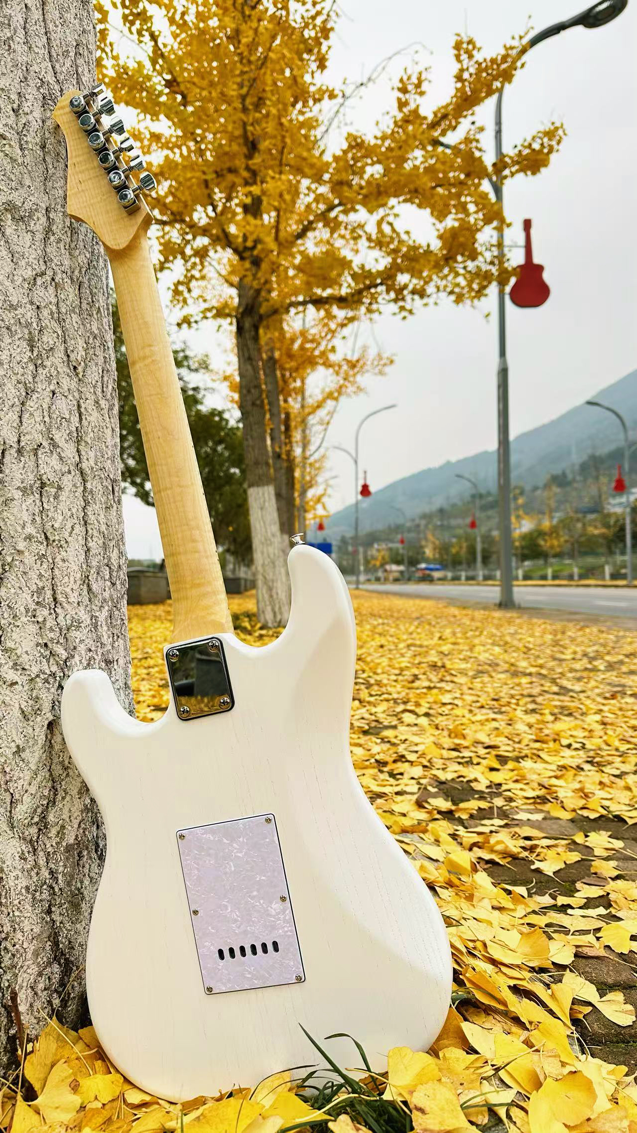 微信图片_20250117212642