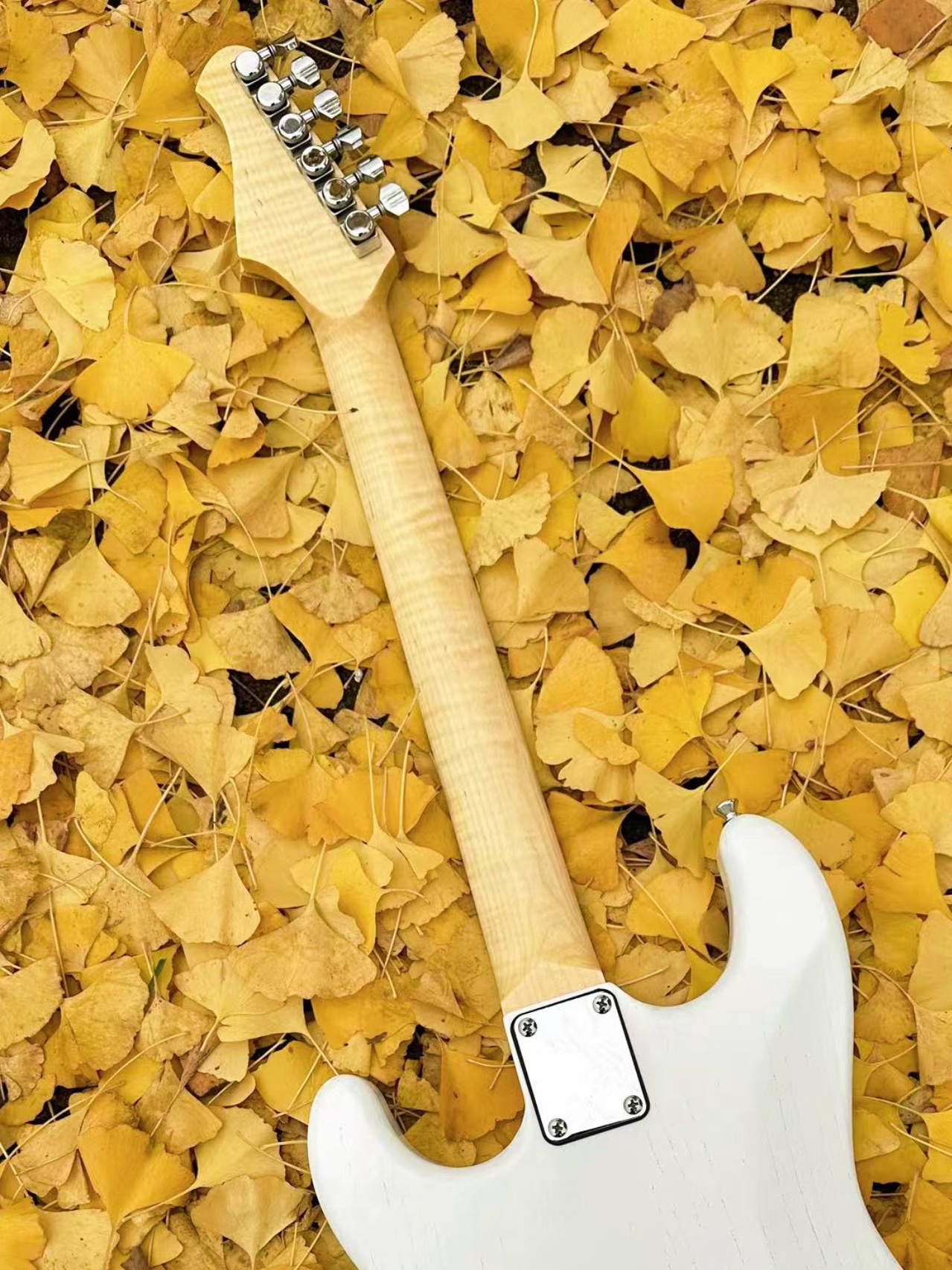 微信图片_20250117212639_副本